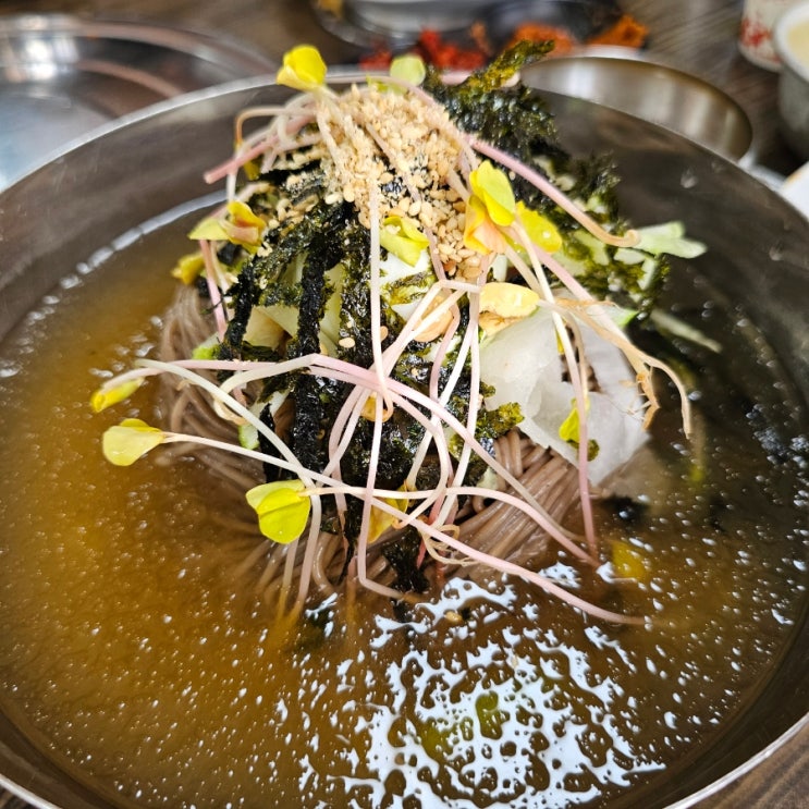 골프존카운티화랑cc 라운드후 여름철 별미 막국수 맛집 시골막국수 골프존카운티화랑cc 라운드후 여름철 별미 막국수 맛집 시골막국수