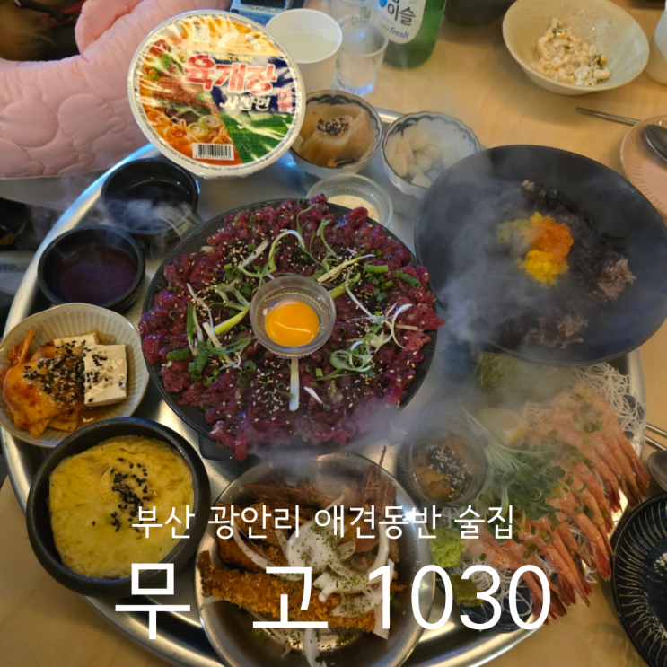  부산 광안리 핫플 애견동반 가능한 신상 술집 무고1030