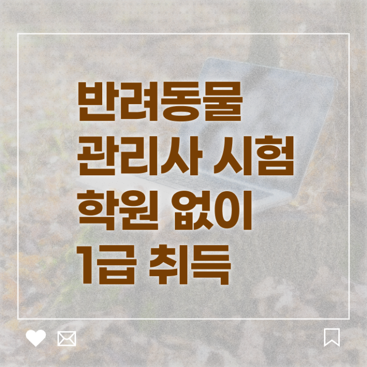  반려동물종합관리사 , 반려동물관리사 자격증 합격한 전략 살펴보기