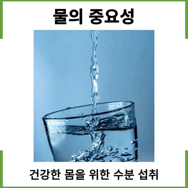  물의 중요성 건강한 몸을 위한 수분 섭취