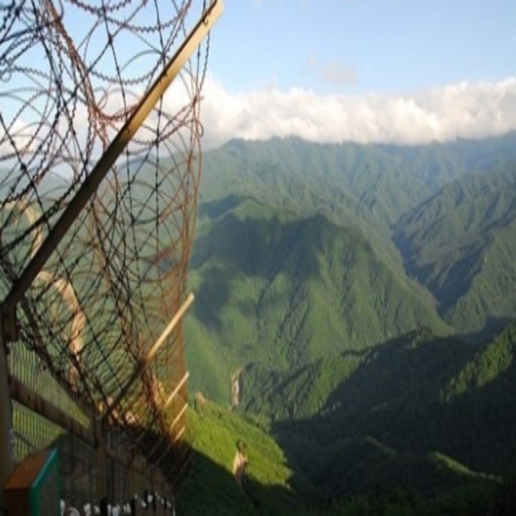 강원도 <b>군사분계선</b>을 통한 북한 병사 <b>귀순</b> 사건 분석