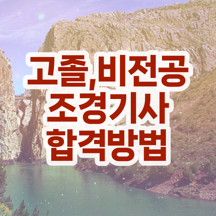  조경기사 하는일 조경기사 응시조건 온라인 과정으로 간단하게 끝낸 방법