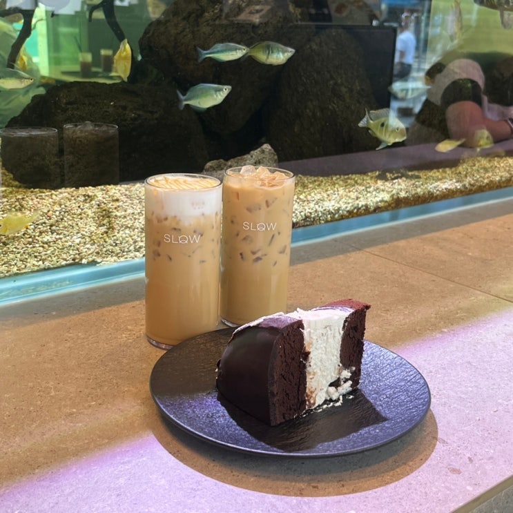  강남 실내 놀거리 거북이 이색카페 슬로우커피