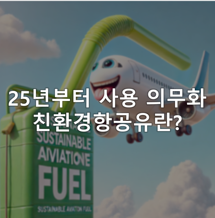 25년부터 친환경항공유 사용 의무화, 친환경항공유 관련주 25년부터 친환경항공유 사용 의무화, 친환경항공유 관련주