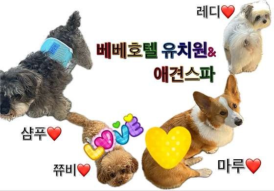 사진 3