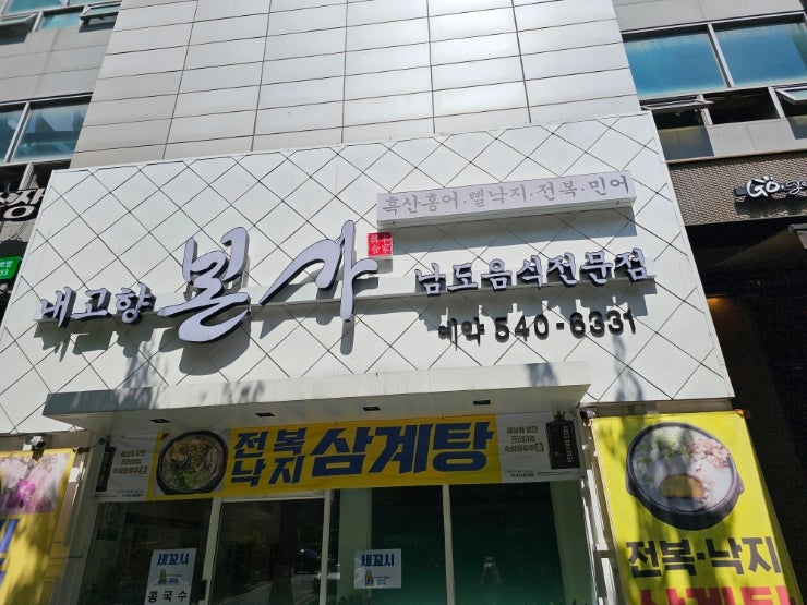 어쩌다 맛집 발견 신사동 내고향본가 vs 제주도 한우설렁탕 어쩌다 맛집 발견 신사동 내고향본가 vs 제주도 한우설렁탕