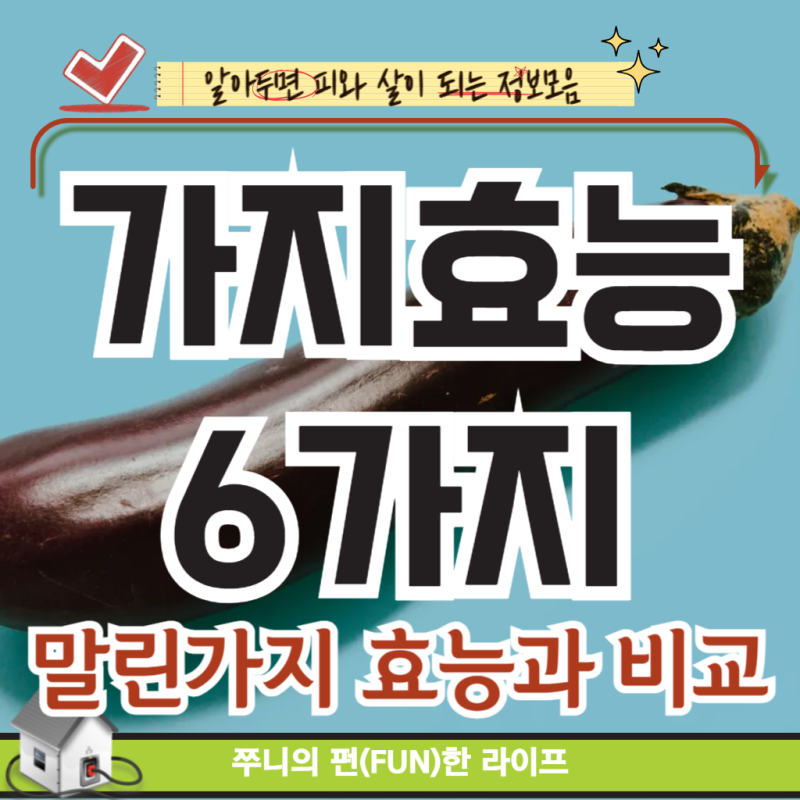 가지 효능 6가지 추천 말린가지 효능과 비교(ft, 칼로리,보관법,영양성분)