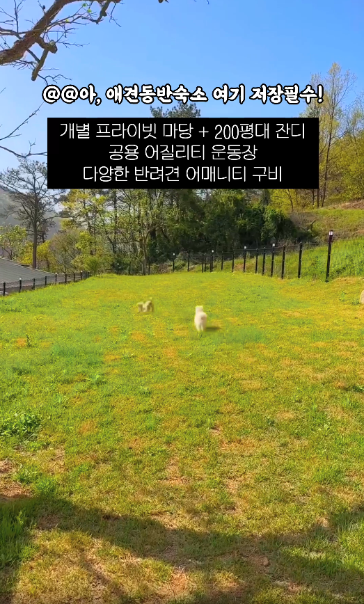 사진 4