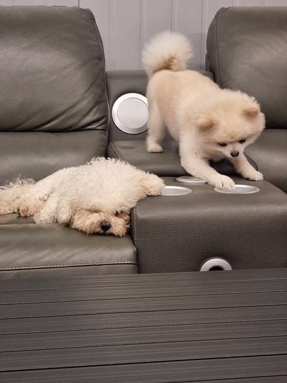 사진 2
