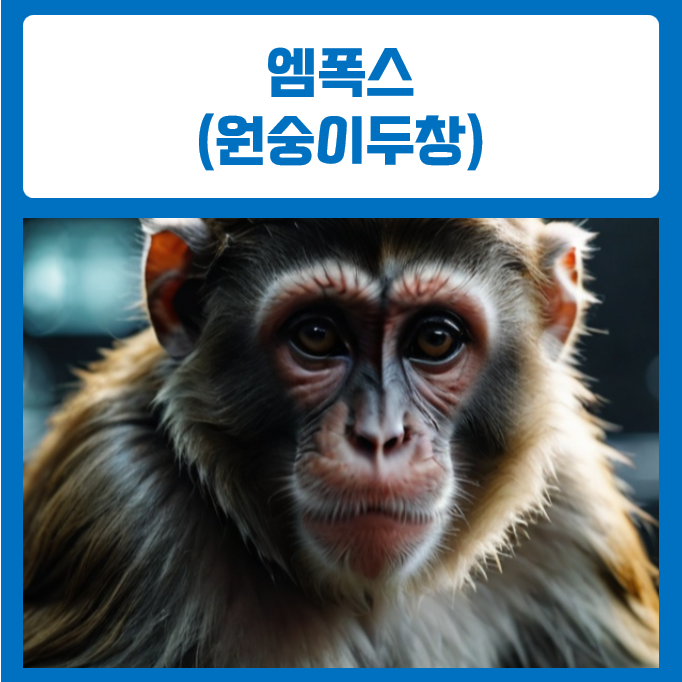  엠폭스(원숭이두창)란? 증상, 감염 경로, 예방법 알아보기