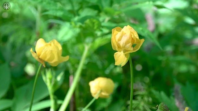  대전 경매학원 , 부동산권리분석사자격증 쉽고 간편하게 준비한 방법