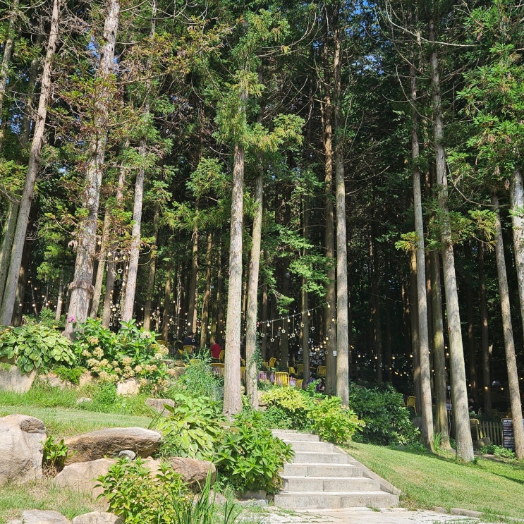  자연과 함께하는 금정산성 반려동물 동반 가능한 숲속 부산 대형카페 아이리