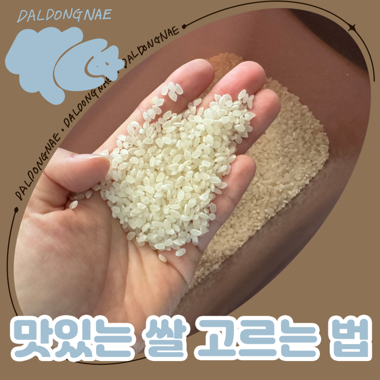  맛있는쌀 고르는 법