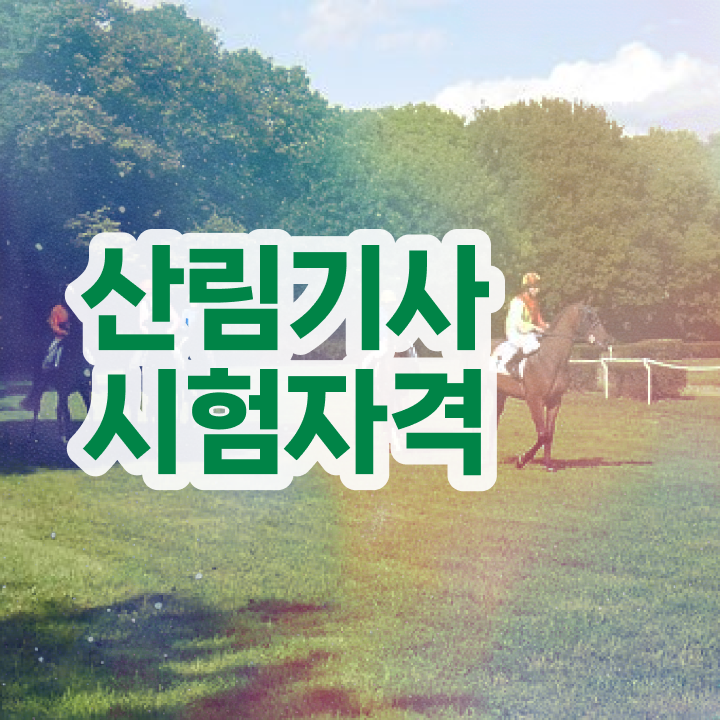  산림기사 신청 산림기사 시험응시조건 학점은행제로 5개월 만에 성공한 팁