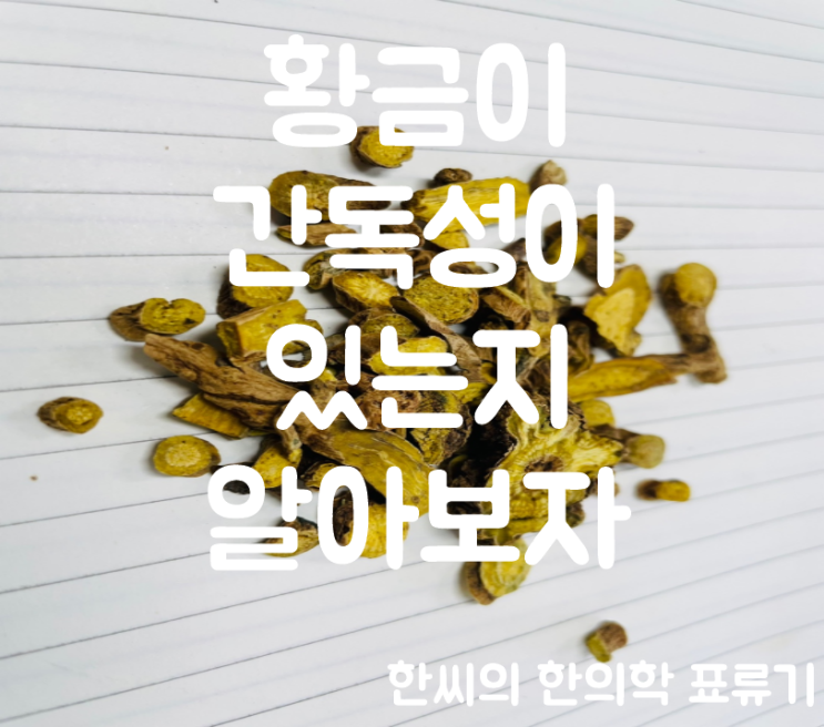  황금(黃芩)이 간 독성이 있는지 알아보자 (황금 부작용)