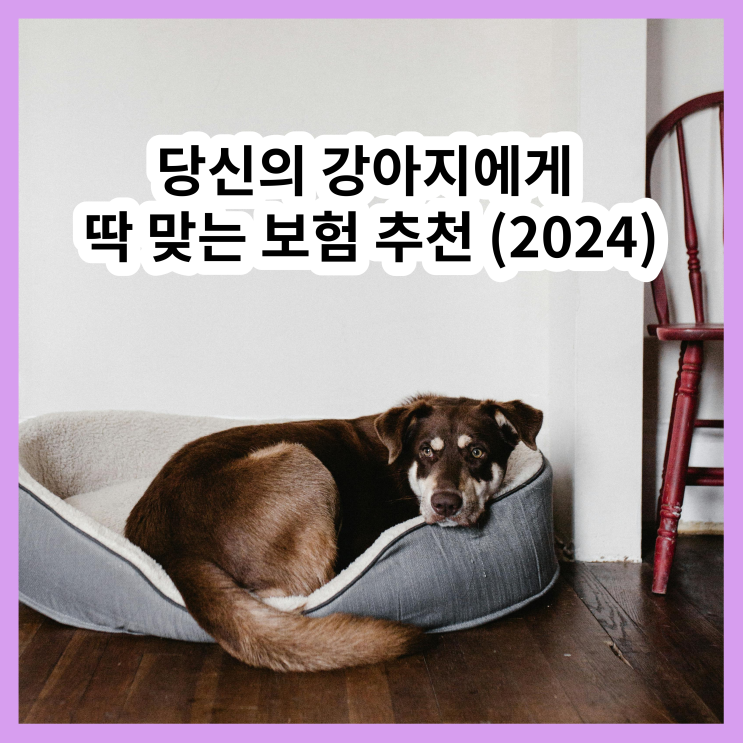  2024 펫보험 비교 / 개보험부터 팻보험까지 꼼꼼하게