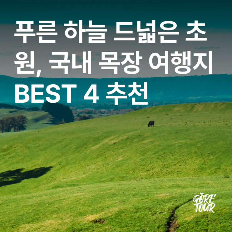  푸른 하늘 드넓은 초원, 국내 목장 여행지 BEST 4 추천