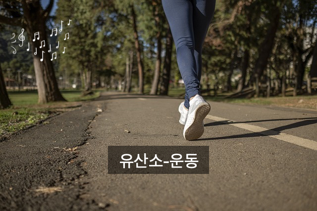  유산소 운동의 중요성,"정의 및 기본 원칙"