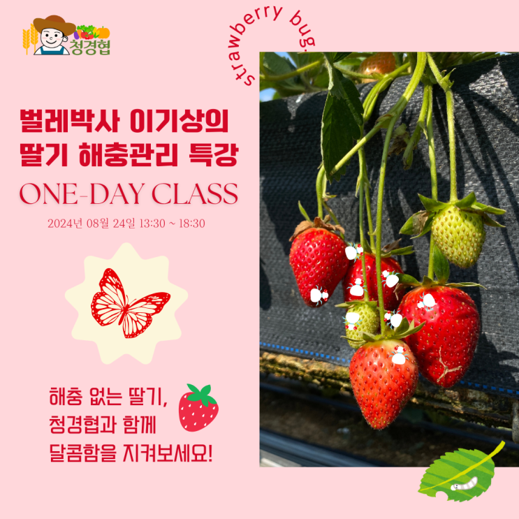  딸기 해충관리 강의 안내(8월 24.토)