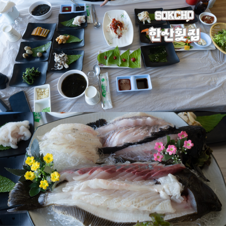  속초 한산횟집 장사동 횟집 가야 하는 이유