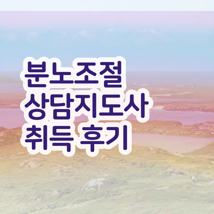  40대남자자격증 , 분노조절상담지도사 일과 병행하며 간단하게 끝낼수 있었던 과정