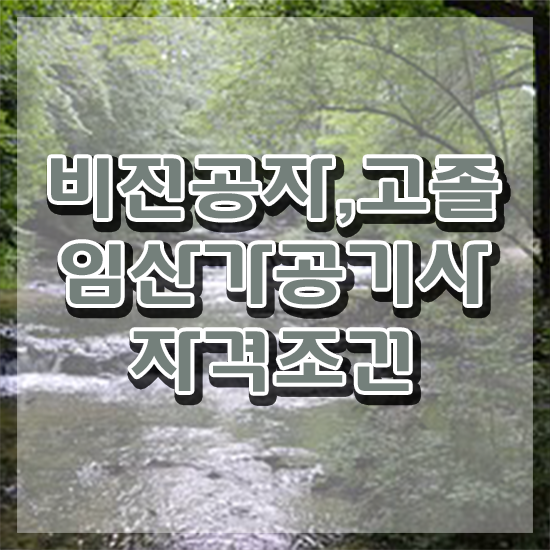  임산가공기사 응시조건 인강으로 편하게 완료한 후기