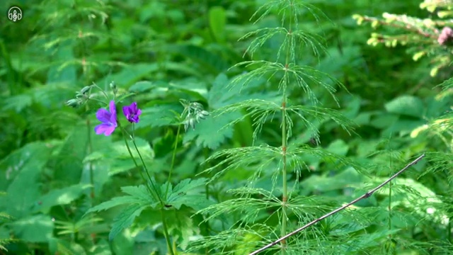  상담국가자격증 , 심리상담사 자격증 합격한 전략 요약