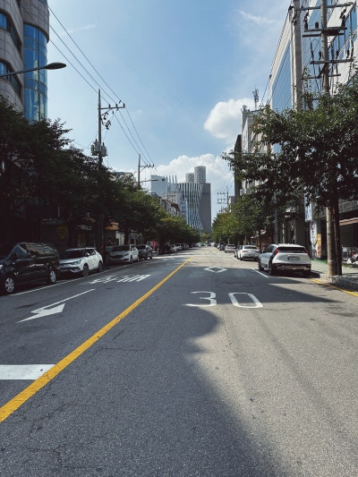 사진 3