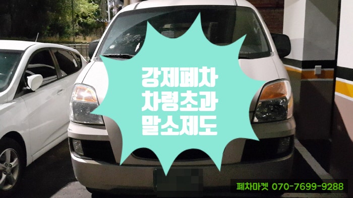  강제폐차 차령초과말소제도