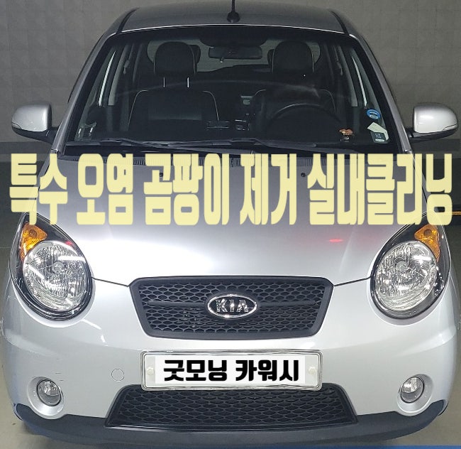  송파 잠실 위례 차량 곰팡이 제거 실내 세차 자동차 에바크리닝 내부 클리닝 후기