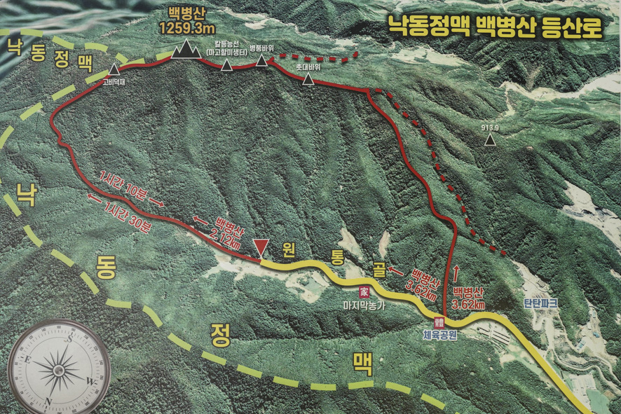 통골 사진 4