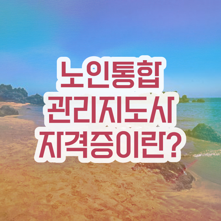  40대여자자격증 , 노인통합관리지도사 온라인 과정 100%로 끝낼수 있었던 전략