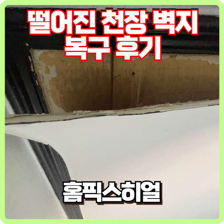  천장벽지 떨어짐 복구 후기