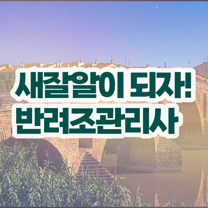  모란앵무 윙컷 , 반려조관리사 자격증 온라인으로 쉽게 취득한 정보 핵심 공개