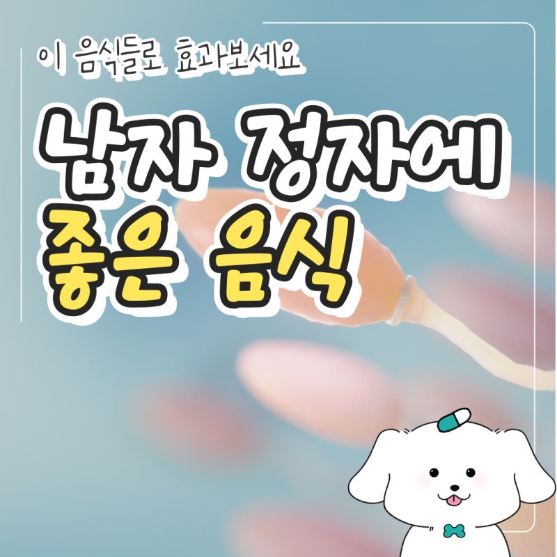 남자 정력에 좋은 음식 추천 안좋은 음식