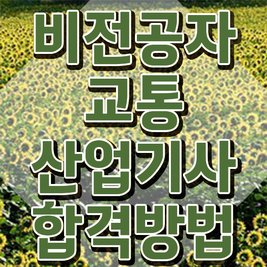  교통산업기사 자격요건 인강으로 반 년만에 성공한 팁
