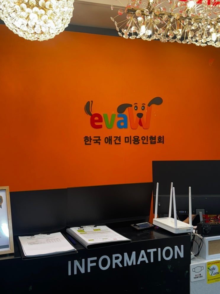  애견미용학원 비용 취업/창업 코스 가격 참고
