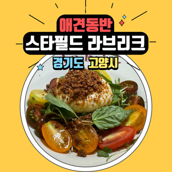  애견 동반 가능 고양 스타필드 맛집 라브리크 추천해요.