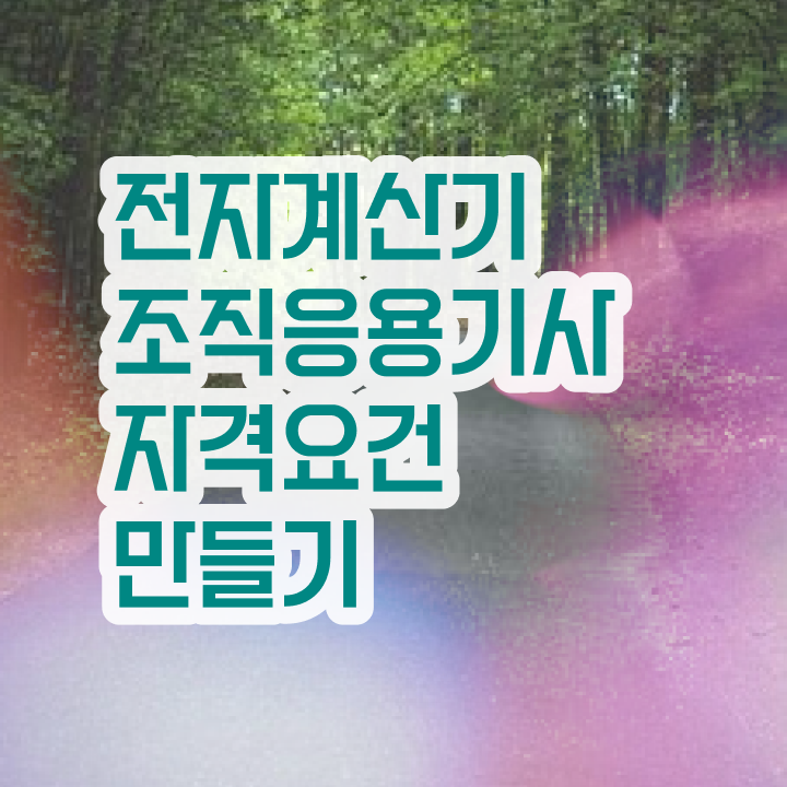  전자계산기조직응용기사 공부기간 전자계산기조직응용기사 응시조건 온라인으로 5달만에 성공한 노하우