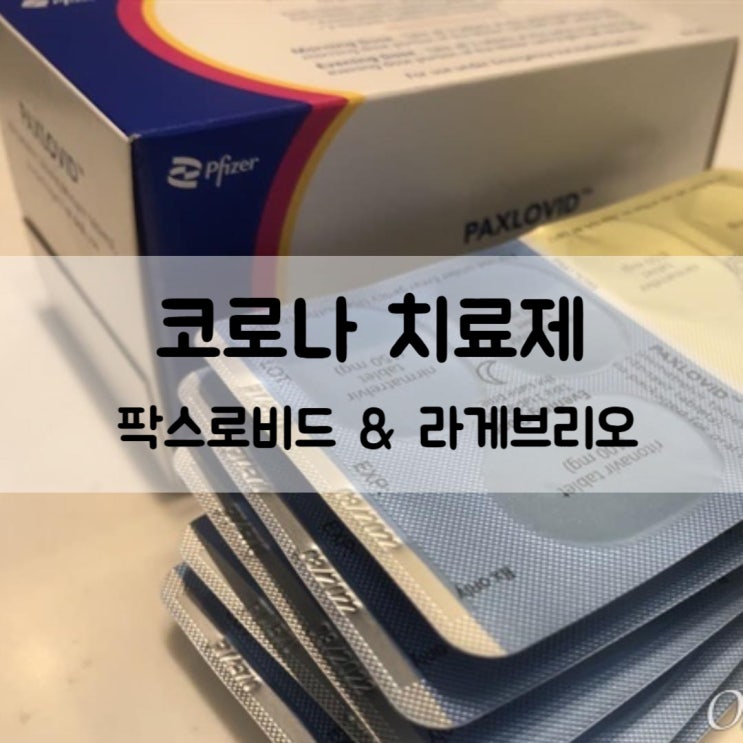  코로나 치료제 팍스로비드와 라게브리오에 대해 알아야 할 점