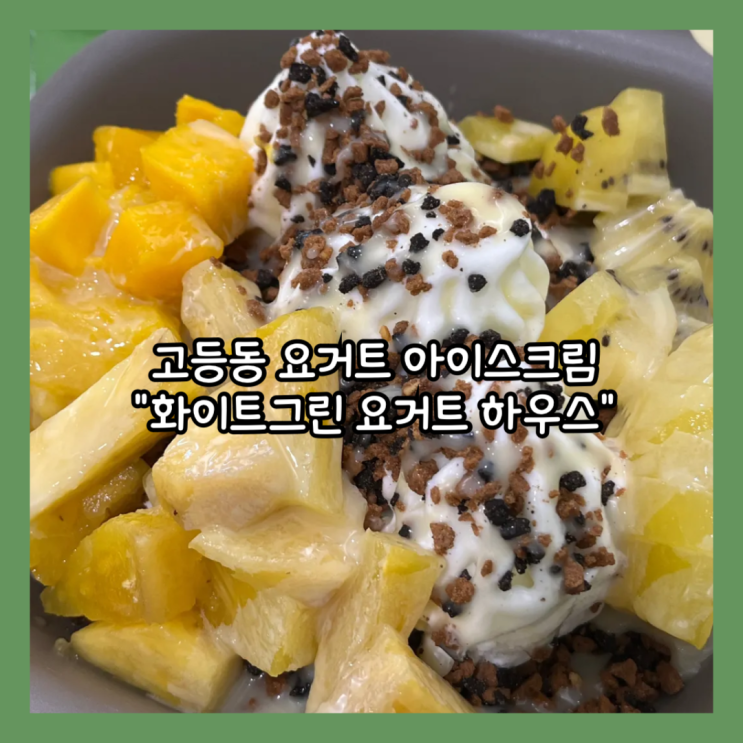  [성남] 고등동 요아정보다 가성비 있는 요거트 아이스크림 "화이트그린 요거트하우스" 내돈내산