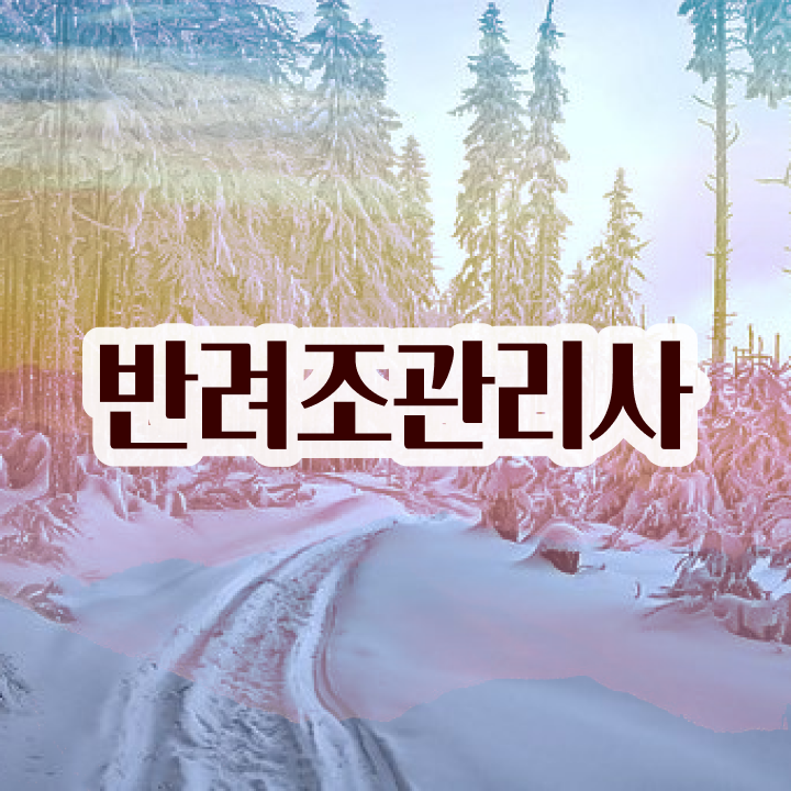  모란앵무입질 일상 , 반려조관리사 자격증 비용없이 온라인으로 학습한 후기 소개