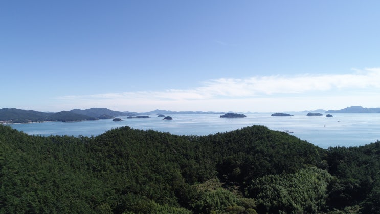  환경영향평가 절차도