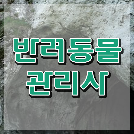  중구반려동물관리사 , 반려동물관리사 자격증 온라인 교육으로 취득한 과정 및 채용 정보
