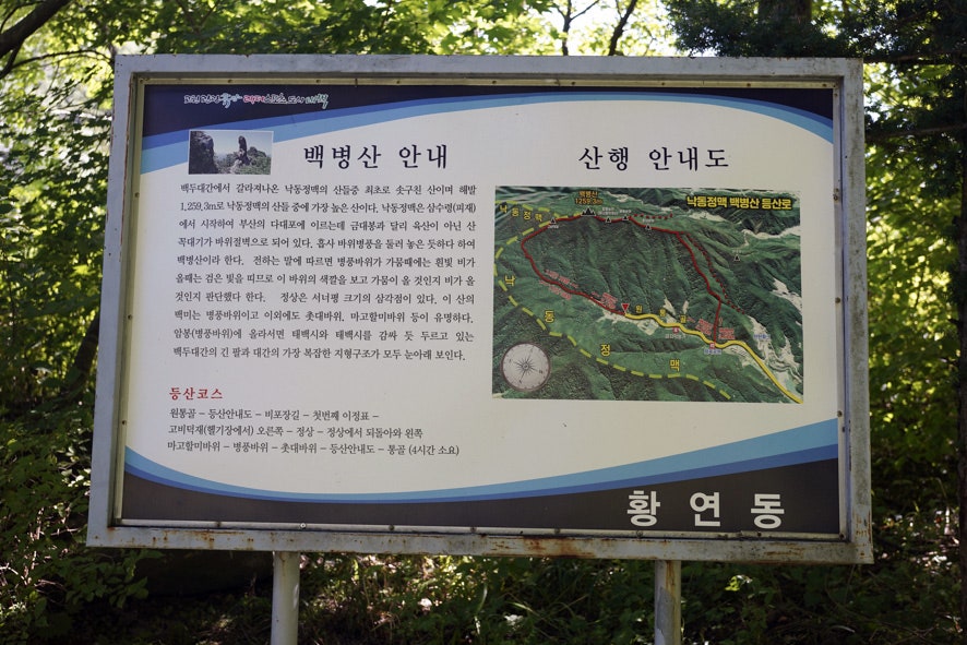 통골 사진 3