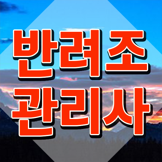  모란앵무사랑앵무 , 반려조관리사 자격증 쉽고 간편하게 합격한 비법 및 고용 전망