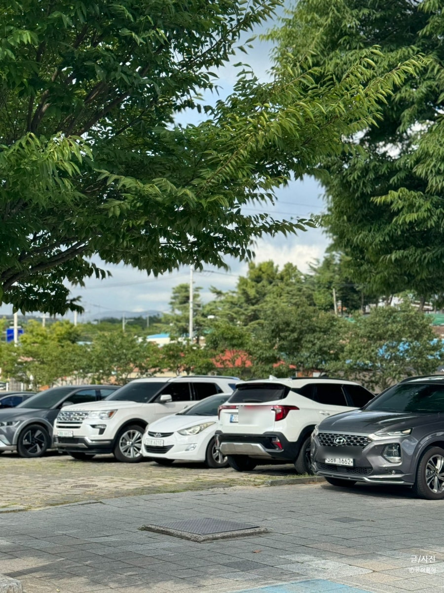 화본역전분식 사진 2