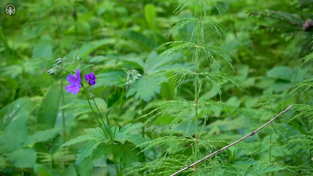  바리스타실습 , 바리스타 자격증 온라인 교육으로 합격정보 궁금증 해결