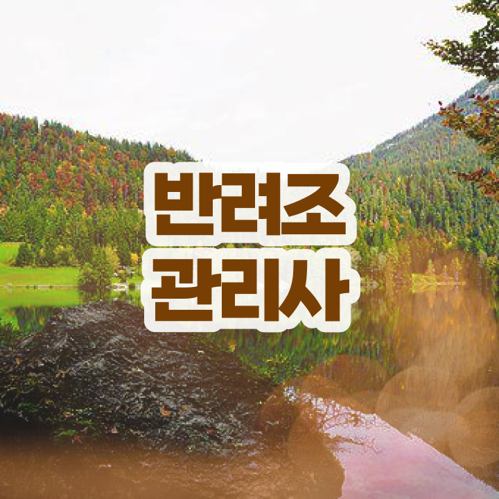  말하는 앵무새 종류 , 반려조관리사 자격증 응시자격 없이 취득한 노하우 살펴보기