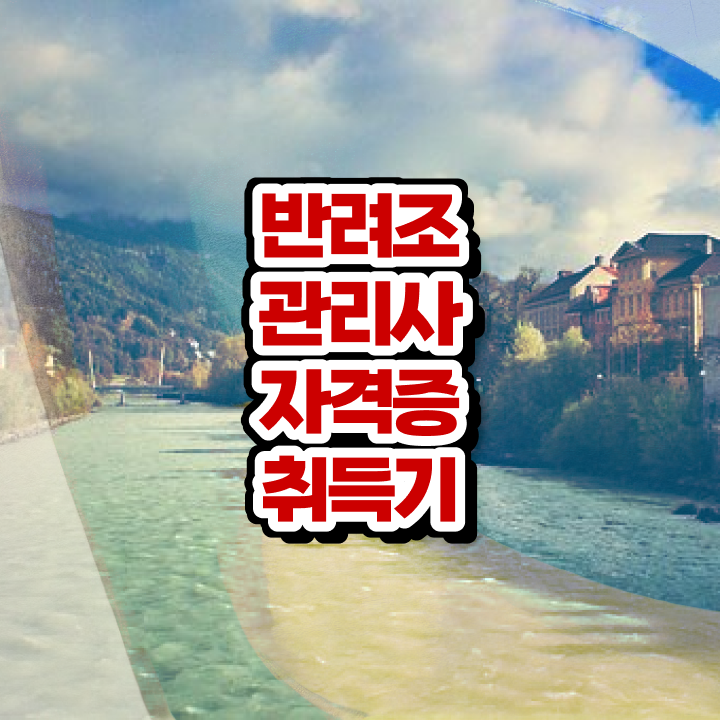  말하는 앵무새 분양가 , 반려조관리사 자격증 취득했던 후기 정리해드립니다